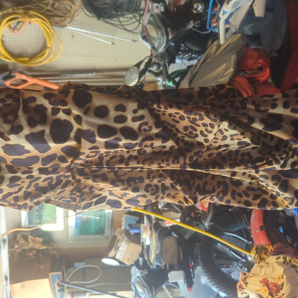 Dress - Picture 2 of 3
